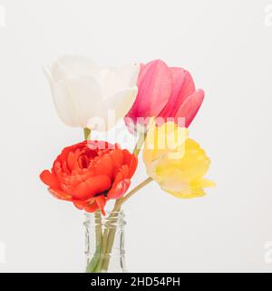 Bunte Frühlingsblumen in klarer Vase Stockfoto