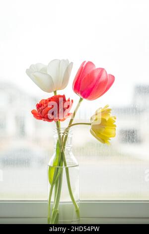 Bunte Tulpen in einer Blumenvase auf einer Fensterbank Stockfoto