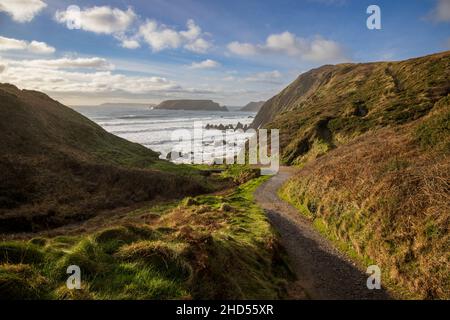 Der Weg führt nach Marloes Sands, Pembrokeshire Coast National Park, South Wales Stockfoto