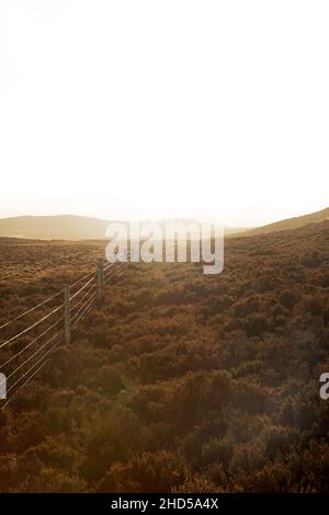 Zaun auf den Simonside Hills in Northumberland, England. Simonside ist Teil der Cheviot Hills und liegt im Northumberland National Park. Stockfoto