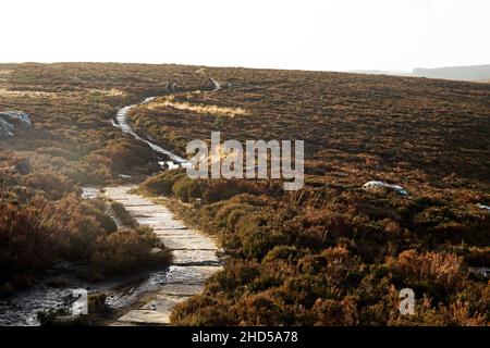 Fußweg auf den Simonside Hills in Northumberland, England. Simonside ist Teil der Cheviot Hills und liegt im Northumberland National Park. Stockfoto