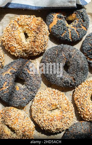 Frisch gebackene Sesam- und Mohn-Bagels. Draufsicht. Stockfoto