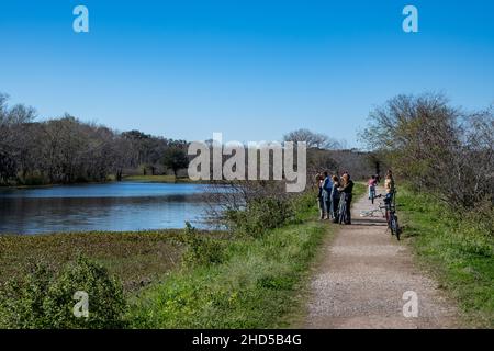 Eine Gruppe von Kindern beobachtete einen Alligator im See. Brazos Bend State Park. Needville, Texas, USA. Stockfoto