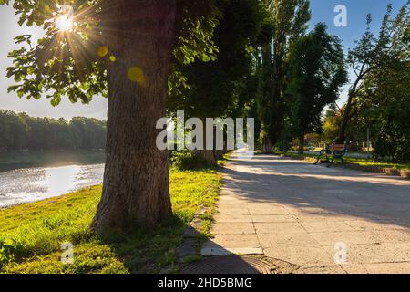 Sonniger Frühlingsmorgen auf dem kiewer Damm. Landschaftlich reizvolle Stadtkulisse von uschgorod. Reihe von alten Kastanienbäumen entlang des Wanderweges in strahlendem Licht gesäumt Stockfoto