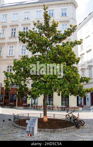 Wien, Österreich, 24. Juli 2021. Denkmal für die Opfer des Angriffs, eines islamistischen Terroranschlags, der am Abend des Nov. stattfand Stockfoto