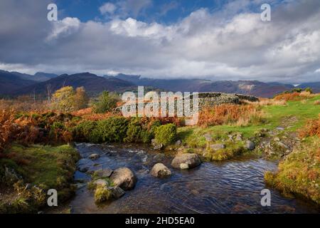 Ein Bach auf Black Fell in der Nähe der Skelwith Bridge. Stockfoto