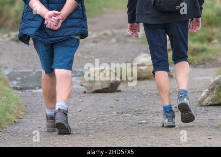 Eine Rückansicht von Wanderern, die auf einem Fußweg in der Landschaft spazieren. Stockfoto