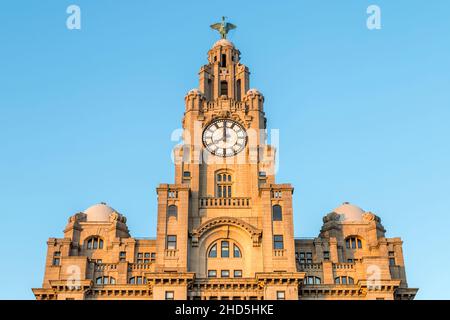 Blick auf einen der Uhrentürme im Royal Liver Building. Stockfoto