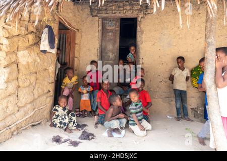 Pemba Island, Sansibar, Tansania - Januar 2020 : Junge fröhliche afrikanische Kinder in einem abgelegenen Dorf in der Nähe ihres einfachen Armenheims. Stockfoto