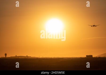 Zweimotorige Jet-Landung auf dem Flughafen Barcelona bei Sonnenuntergang, körnige Aufnahme mit Vögeln. Spanien Stockfoto
