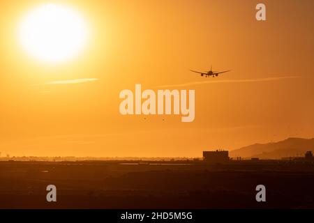 Zweimotorige Jet-Landung auf dem Flughafen Barcelona bei Sonnenuntergang, körnige Aufnahme mit Vögeln. Spanien Stockfoto