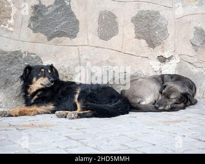 Ein Zeichen von santuario de la inmaculada, Santiago, Chile Stockfoto