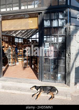 Ein schwarzer Hund, der an einem Frühlingsnachmittag vor einem Souvenirladen ein Nickerchen macht, santuario de la inmaculada, Santiago, Chile Stockfoto