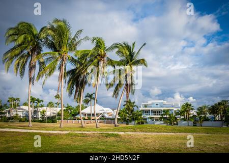 Grand Cayman, Cayman Islands, Nov 2021, Britannia Estates durch einen redundanten Golfplatz am frühen Morgen Stockfoto