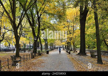 Stadtwald im Norden Manhattans im Riverside Park am Hudson River Stockfoto