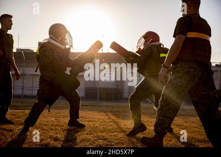 MCAS Iwakuni, Yamaguchi, Japan. 15th Dez 2021. U.S. Marines with Marine Aircraft Group (mag) 12 tritt während eines Marine Corps Martial Arts Program (MCMAP)-Kurses mit der Marine Corps Air Station Iwakuni, Japan, am 15. Dezember 2021 gegen Pugil-Stöcke an. Marines mit mag-12 nahmen an dem MCMAP-Aufstiegskurs Teil, um Grüngürtel-Techniken zu erlernen und zu meistern und ihren Kampfgeist zu stärken. Quelle: U.S. Marines/ZUMA Press Wire Service/ZUMAPRESS.com/Alamy Live News Stockfoto