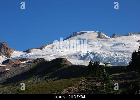 Easton Glacier auf der Südseite des Mt. Baker Stockfoto