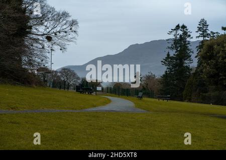 Landschaft im Tollymore Forest Park Newcastle UK im Herbst Stockfoto