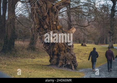 Touristen zu Fuß in Tollymore Forest Park Newcastle UK Stockfoto