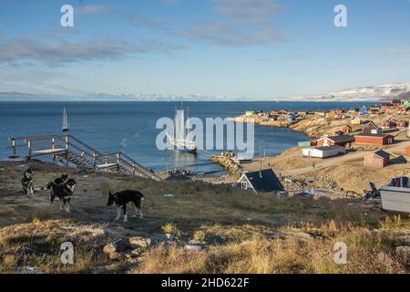 Blick über Ittoqqortoormiit Dorf mit Schlittenhunden, Booten und Häusern, Lincoln Land, Scoresby Sund, Grönland Stockfoto