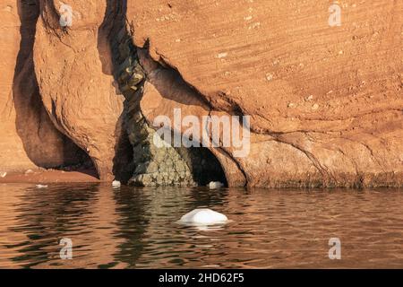 Säulenförmiger basaltischer Fels in Sandsteinkonglomerat und Eiswühlern, Rode O, Rodefjord, Scoresby Sund, Grönland Stockfoto