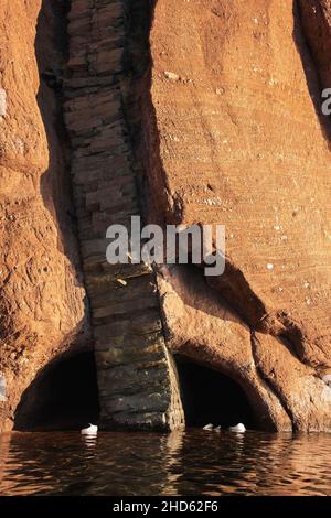 Säulenförmiger Basaltgestein, der durch das rote Sandsteinkonglomerat Rode O, Rodefjord, Scoresby Sund, Grönland, eindringt Stockfoto