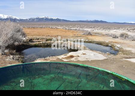 Die Spencer Hot Springs in der Nähe von Austin, Nevada, liegen an der Seite eines spektakulären Tals, umgeben von BLM-Land und mit Blick auf die Toiyabe Mountains. Stockfoto