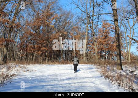 Skilanglauf für Frauen auf dem North Branch Trail in Miami Woods im Winter in Morton Grove, Illinois Stockfoto