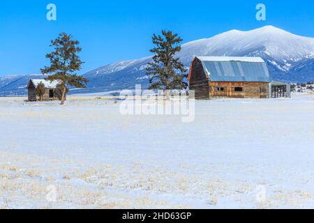 Alte Holzscheune und Hütte unter Mount Baldy im Winter in der Nähe von townsend, montana Stockfoto