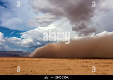 Ein Haboob-Staubsturm in der Wüste bei Dolan Springs, Arizona, USA Stockfoto