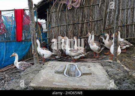 Mongla, Bangladesch. 11th September 2021. Eine Toilette wird rekonstruiert, nachdem sie im Küstengebiet des Dorfes Jaymani von Ebbe und Flut weggefegt wurde.Bangladesch ist eines der Länder, das am stärksten von den Auswirkungen des Klimawandels betroffen ist. Die regelmäßigen und schweren Naturgefahren, die Bangladesch bereits unter tropischen Wirbelstürmen, Hochwasser, Flußerosion, Überschwemmungen, Erdrutschen und Dürren leidet, werden durch den Klimawandel immer intensiver und häufiger werden. (Bild: © Sultan Mahmud Mukut/SOPA-Bilder über ZUMA Press Wire) Stockfoto