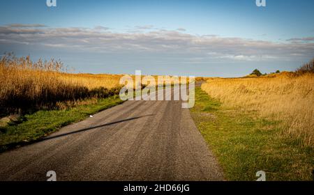 Weg durch die Dünen am wattenmeer Deutschland Stockfoto