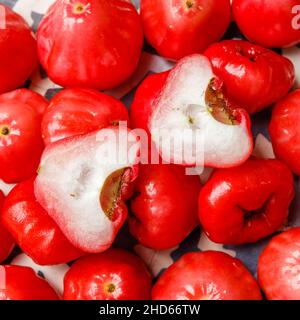 Wachsapfel oder Java-Apfel oder Semarang-Rosenapfel (Syzygium samarangense) Stockfoto