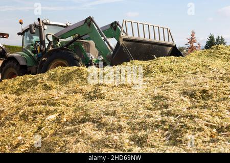 Zubereitung von Tiernahrung im landwirtschaftlichen Komplex Stockfoto