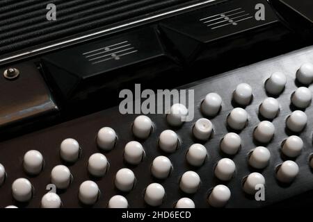 Weiße Ziehharmonika-Knöpfe, Nahaufnahme im Studio ohne Menschen Stockfoto