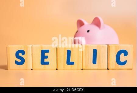 Das Wort selic auf Holzblöcken mit einem Sparschwein geschrieben. Brasilianische Wirtschaft. Stockfoto