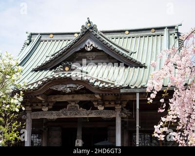 Komatsushima, Japan - 4. April 2018: Haupthalle von Tatsueji, Tempel Nummer 19 der Shikoku-Wallfahrt, während der Kirschblütensaison Stockfoto