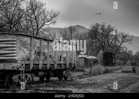 Graustufenaufnahme eines alten verlassenen Gondelwagens auf einer von Bäumen umgebenen Eisenbahnstrecke Stockfoto