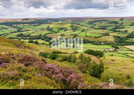 Bell Top in Rosedale von Rosedale Bank Top Stockfoto