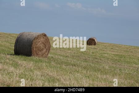 Schöne Aussicht auf Heu auf einem grasbewachsenen Hügel im Spätsommer, Norfolk, Großbritannien Stockfoto