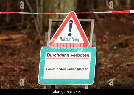 Wald. Text auf Deutsch: Logging. Zugriff verweigert. Forstarbeit - Lebensgefahr. Stockfoto