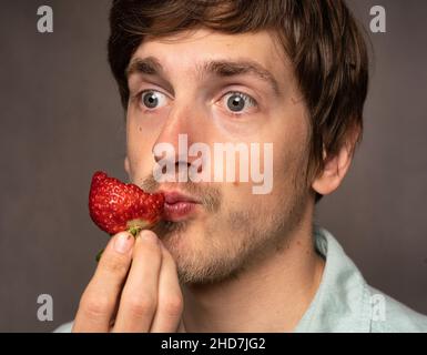 Junger, hübscher, großer, schlanker weißer Mann mit braunem Haar, der halb gefressene Erdbeeren im hellblauen Hemd auf grauem Hintergrund hält Stockfoto