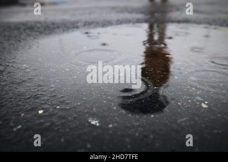 Regentropfen in der Pfütze. Reflexion der Person mit Regenschirm im Regen. Stockfoto