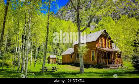 Eine Hütte in den Aspen von Colorado Stockfoto