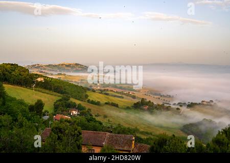 Blick von Potenza Picena, Nebel, Marken, Italien, Europa Stockfoto