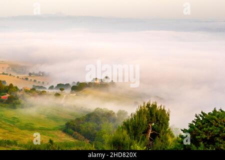 Blick von Potenza Picena, Nebel, Marken, Italien, Europa Stockfoto