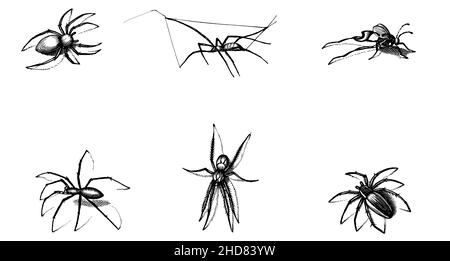 Schwarze Silhouetten Set von Spinnen, Spinnen-Symbol isoliert auf weißem Hintergrund. Ansicht von oben, von der Seite und von vorne Stock Vektor