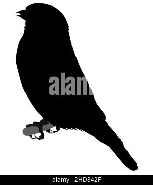 Schwarze Silhouette eines Vogels auf einem Baum Ast, Sparrow auf einem Zweig, Vektor-Illustration, Logo und Symbol Stock Vektor