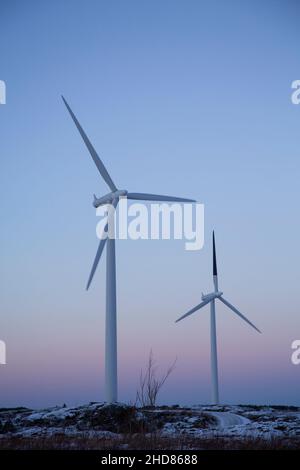 Windmühlen im Sonnenuntergang, Smøla, Norwegen Stockfoto