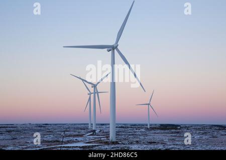 Windmühlen im Sonnenuntergang, Smøla, Norwegen Stockfoto